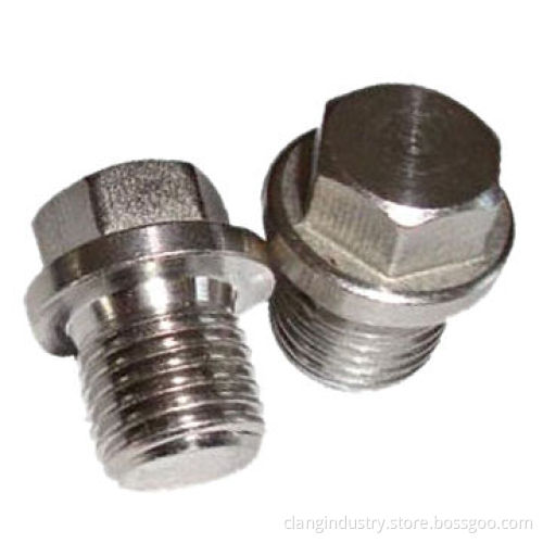 Plug Screw